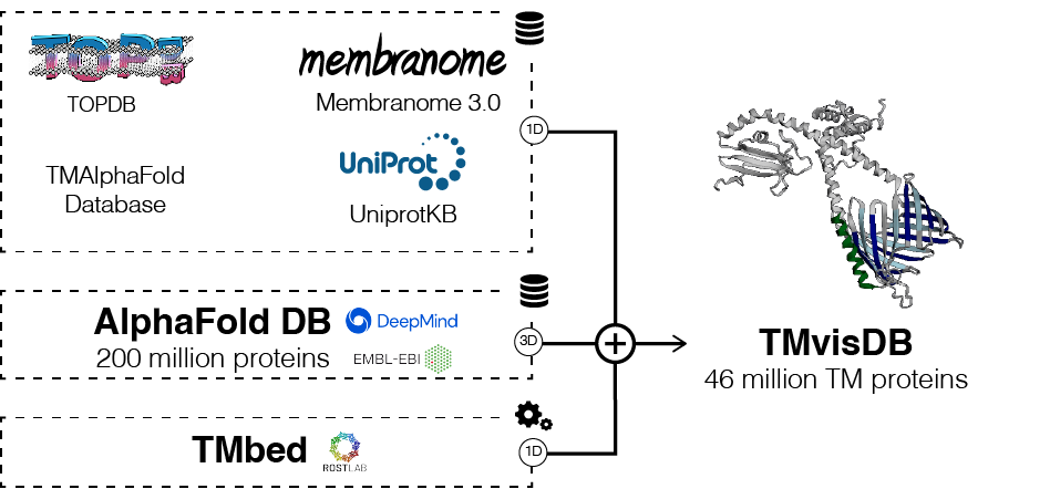 Overview of TMVisDB